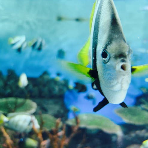 新潟市水族館 マリンピア日本海