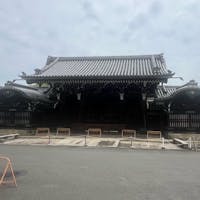 西本願寺の大玄関門
「大玄関門」は、その名の通り、公式な行事の際に来賓を迎えるために使われる「大玄関」へとつながる門です。白書院などの賓客を迎える正式な書院へ通じています。
 大玄関門は、両脇に門番屋を持つ豪壮な門であり、その大きさや造りから、幕閣や大藩の屋敷に匹敵する、十万石以上の大名家と同じ格式を持っていたとされています。

#サント船長の写真#西本願寺