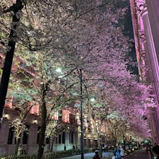 日本橋の桜🌸
#日本橋
#桜
#夜桜