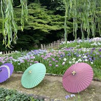 愛知県/徳川園

美しい庭園。
美術館の当日チケットを提示すると半額で入園できます。（300→150円）


#puku2'25
#puku2"06
#puku2名古屋弾丸ソロ旅
#愛知#名古屋