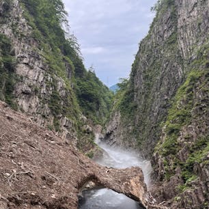 素晴らしいの一言