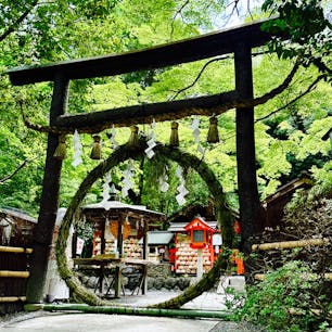 京都嵯峨野
野宮神社
茅の輪くぐりの時期になりましたね。