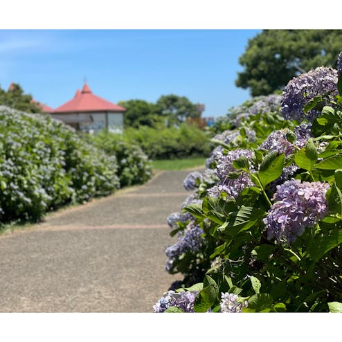 かすみがうら市歩崎公園