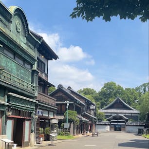 Edo-Tokyo Open Air Architectural Museum / Tokyo

東京・小金井市にある野外博物館「江戸東京たてもの園」の東ゾーンにある下街中通り。
「千と千尋の神隠し」のモデルになったと言われている「武居三省堂」や、富士山が風呂場の壁面に描かれた「子宝湯」、居酒屋の「鍵屋」など見所満載！「スタジオジブリ」が同じ小金井市内にあることから、宮崎駿監督はこの場所を散歩で何度も訪れていたそう。
入場料400円でタイムスリップしたような気分になれる、フォトジェニックな素敵な場所です♪
1962年製造の黄色い「都電7500形」も必見です！

#tokyo #tokyosightseeing #tatemonoen #bluemoon