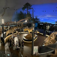 初福井！
#恐竜博物館
#ソースカツ丼
#カイリュー電車