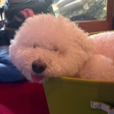 埼玉

川越に引っ越したくくと首都圏外郭放水路