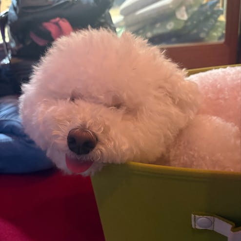 首都圏外郭放水路