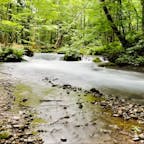 暑い日には川沿い歩きで涼みます🏞️