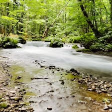 暑い日には川沿い歩きで涼みます🏞️