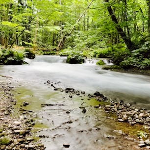 暑い日には川沿い歩きで涼みます🏞️