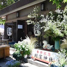 東京・中延にある「蛇窪神社」。東京の白蛇さまとして多くの参拝客が訪れており、厄除けなどにご利益があると伝えられています。

#東京 #中延 #蛇窪神社 #東京の白蛇さま