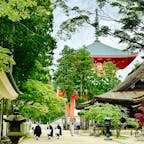 和歌山県
高野山
観光客も少なく、とても落ち着きました。
