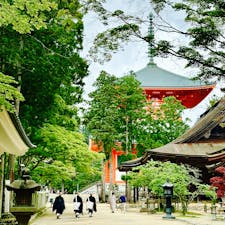 和歌山県
高野山
観光客も少なく、とても落ち着きました。
