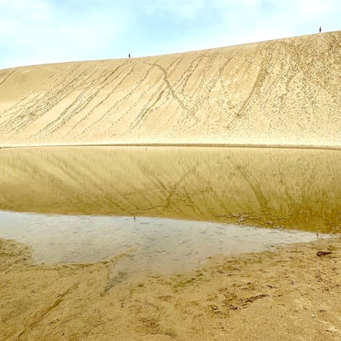 鳥取砂丘