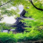 京都
今熊野観音寺
青紅葉がきれい

西国三十三所観音巡礼
十五番札所