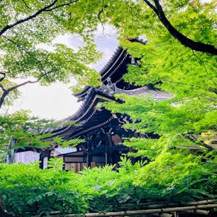 京都
今熊野観音寺
青紅葉がきれい

西国三十三所観音巡礼
十五番札所