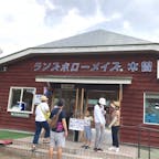 【信州やぶはら高原 こだまの森】
ここでは、無料のものや有料のものなど、いろんなアクティビティがあり、小さなお子様も目一杯楽しめます。
有料のものは、巨大迷路(MAZE)の入口にある「ランズボローメイズ木曽」と書かれている小さな建物で申し込みができます。
アスレチックなどもいっぱいあり、丸一日ご家族で楽しめると思います。