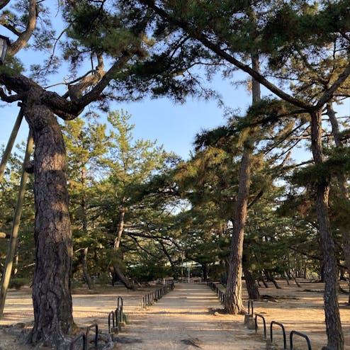 津田の松原・琴林公園