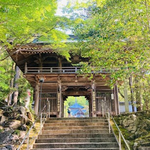 香川
四国八十八ヶ所霊場
第八十八番札所

最後の札所
大窪寺