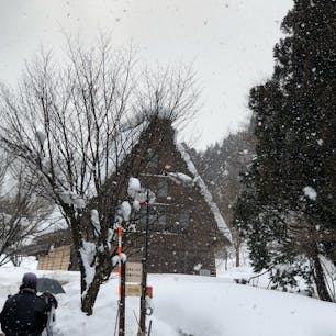 冬の岐阜県白川郷。。雪化粧の街並みも風情があって見応えあり。。。平成だけど昔話の世界へタイムスリップした感じでした