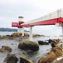 22年 足摺海底館 あしずりかいていかん はどんなところ 周辺のみどころ 人気スポットも紹介します 22年 足摺海底館 あしずりかいていかん はどんなところ 周辺のみどころ 人気スポットも紹介します
