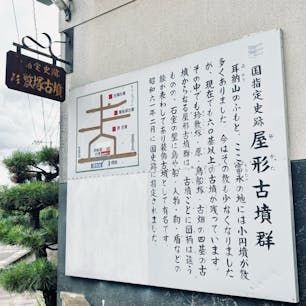 202506
珍敷塚古墳　福岡　うきは

左上には大きな同心円文があり、太陽と言われています
その下にはゴンドラ形の船
その船の先端には鳥が止まっており、
櫂を持つ人物、中央には靭が3個並んでおり
その横に大きな蕨手文があります

右端の靭の隣には弓と盾を持った人物がおり、
その下に月に住むと言われたヒキガエルが2匹描かれています
上のヒキガエルの横には小円文があります
こちらの小円文は月と言われています

太陽の現世から月の来世へ
鳥の導く船で旅立とうとする姿が表されていると言われています

壁画は小窓からしか見ることはできませんが
壁画図を片手に確認できるくらいは残っていました
ヒキガエルなどは肉眼ではわからず
家に帰って写真で確認

柱に邪魔されているので全体像は見れず
頭をあちこち傾けながら見ました

なんとなくエジプトの壁画っぽい

こちらは予約して見学できます