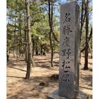 兵庫　淡路島
慶野松原

夏前だったので
静かな海でした
