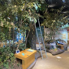 エコミュージアム関ヶ原
こちらも激シブ観光地でした‼️
#202502 #s岐阜