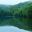 火山活動によって形成された蔦沼。
あいにくの小雨模様でしたが、かえって幻想的で、遊歩道沿いも苔が生き生きとしていて素敵でした。


#青森県 #十和田市 #蔦沼