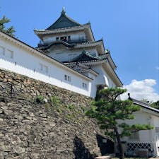 和歌山市　和歌山城

久しぶりに和歌山城を訪ねました。ふもとから急な石段を上り、さらに天守閣でも階段を上るので、夏は少々しんどいです。

しかし、天守閣からの眺めは最高。和歌山市街を一望し、紀の川の河口や海まで眺められます。外に出て一周できるのですが、高いので少しスリルがあります。