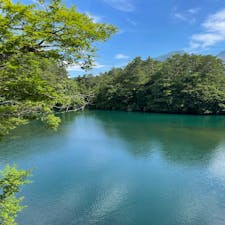 いい景色できた。

名物？のハート柄の鯉に会えました❤️