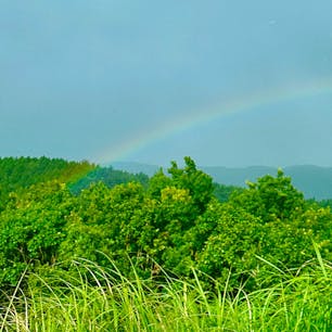大分県
九重山
虹が出ていました。