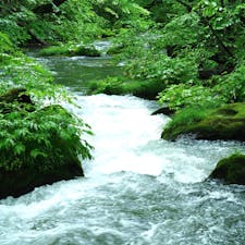 真夏の奥入瀬渓流、早朝なら24度ぐらいの爽やかな空気の中で散策できました。




#奥入瀬渓流 #青森県