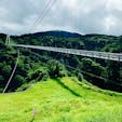 大分県九重町
九重夢大吊橋
歩行者専用のつり橋としては高さが日本一です。