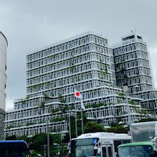 📍那覇市役所
植物とビルがいい感じの塩梅