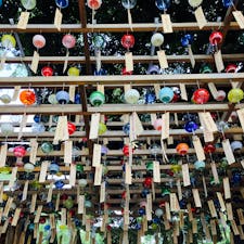 埼玉県
川越市
川越氷川神社

川越氷川神社は、約1,500年の歴史を持つ神社で、特に縁結びの神様として有名です。今の季節は、縁結び風鈴というイベントが開催中で、約2,000個の江戸風鈴が飾られます。