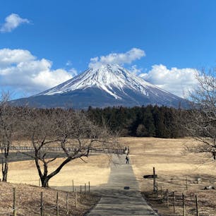 道の駅 朝霧高原
富士山の紙袋買っちゃった🎶
#202502 #s静岡