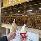 IDEBOK
念願のジェラート駆け込みで！
#202502 #s静岡