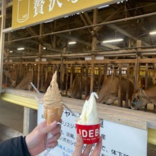 IDEBOK
念願のジェラート駆け込みで！
#202502 #s静岡