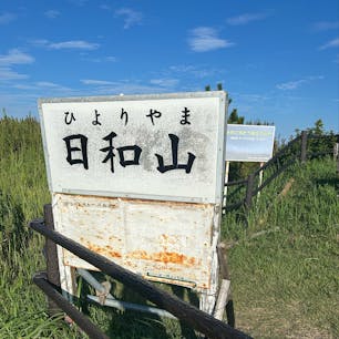 日本一低い山に登りました