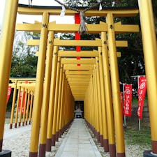 もともとはひたちなか市の八幡様として親しまれていた堀出神社。

境内にインパクト大な黄金の鳥居を建て、ほしいものが全て手に入るほしいも神社を建立したことで大人気に。


#茨城県  #ひたちなか市 #ほしいも神社 #堀出神社