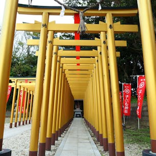 もともとはひたちなか市の八幡様として親しまれていた堀出神社。

境内にインパクト大な黄金の鳥居を建て、ほしいものが全て手に入るほしいも神社を建立したことで大人気に。


#茨城県  #ひたちなか市 #ほしいも神社 #堀出神社