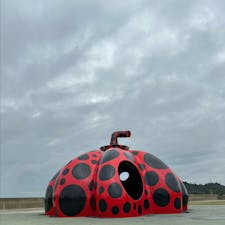 赤かぼちゃ
草間彌生
海外の方が多いですね。この時はみなさん距離感取れていて写真が撮りやすかったです。