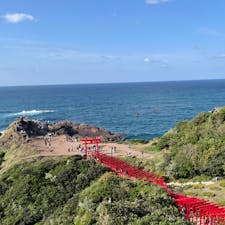 123 基の朱色の鳥居が連なっている！