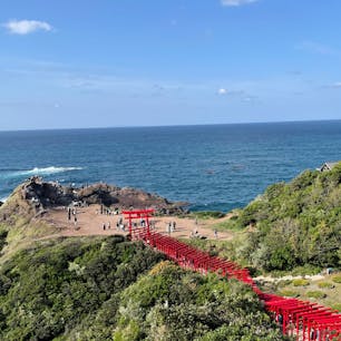 123 基の朱色の鳥居が連なっている！