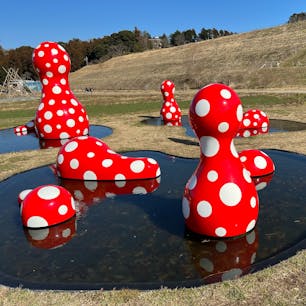 クルックフィールズは、広大な敷地に宿泊施設にレストラン、ファームにパン屋さん、ショップにアートに、遊具などの施設があり、自然の中で様々な楽しみ方ができるスポットです。


#クルックフィールズ #千葉県 #木更津市