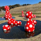 クルックフィールズは、広大な敷地に宿泊施設にレストラン、ファームにパン屋さん、ショップにアートに、遊具などの施設があり、自然の中で様々な楽しみ方ができるスポットです。
#クルックフィールズ #千葉県 #木更津市