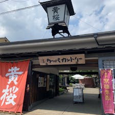 京都市伏見区　キザクラカッパカントリー

大手酒造会社の黄桜のショップ、レストラン、資料館からなる複合施設。

ショップで季節限定の日本酒、お菓子などを買い求めたり、資料館で昔のCMを見たりできる。

レストランは古い蔵の雰囲気を残し、天井が高い。お昼の御膳は1,200円程度とお手頃。予約が必要だが、より豪華なお弁当やコース料理もある。黄桜の日本酒や地ビールとともに味わうのも良さそう。