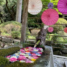 【宮城県・柳津虚空蔵尊】

#2025年7月20日

#宮城県　#登米市　#柳津虚空蔵尊