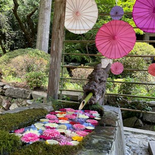 【宮城県・柳津虚空蔵尊】

#2025年7月20日

#宮城県　#登米市　#柳津虚空蔵尊